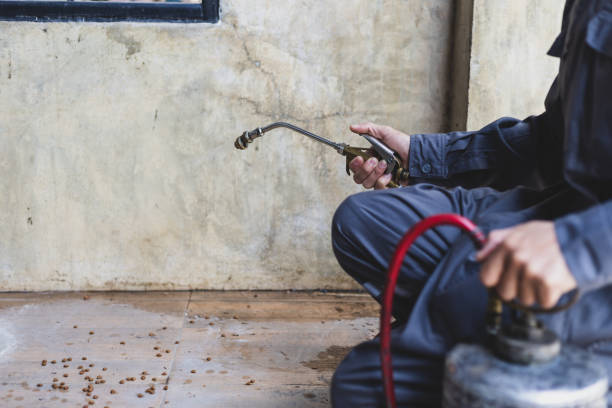 Best Affordable Pest Control Services  in Vaiden, MS