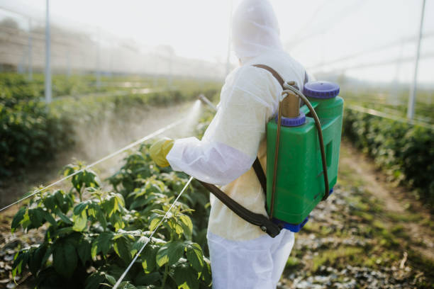 Best Best Pest Control Companies  in Vaiden, MS